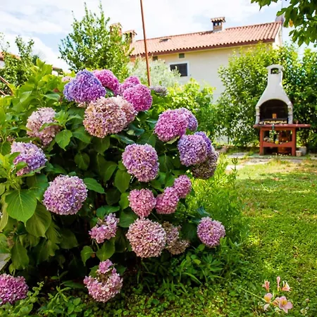 Rustico Mediterraneo With Large Terrace By Mihaela * Porec