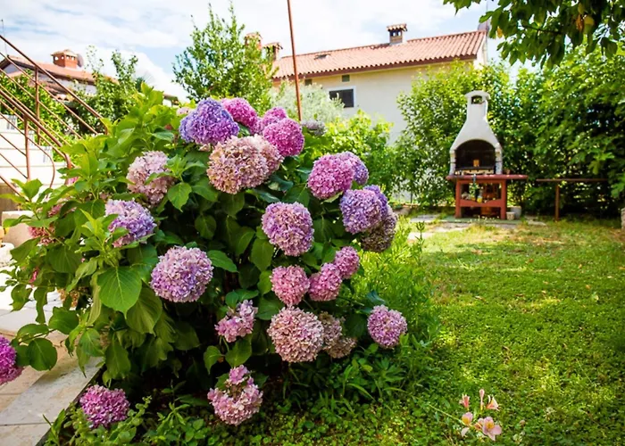 Rustico Mediterraneo With Large Terrace By Mihaela * Poreč