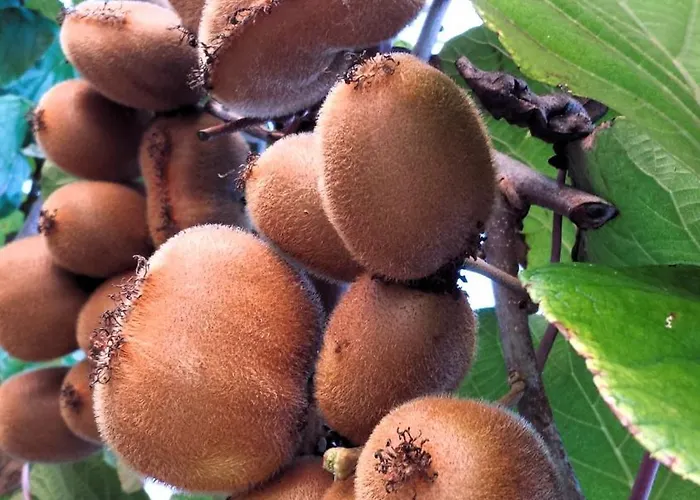 Rustico Mediterraneo With Large Terrace By Mihaela Apartamento *