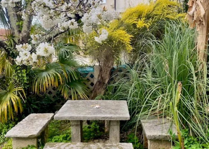 Rustico Mediterraneo With Large Terrace By Mihaela Poreč