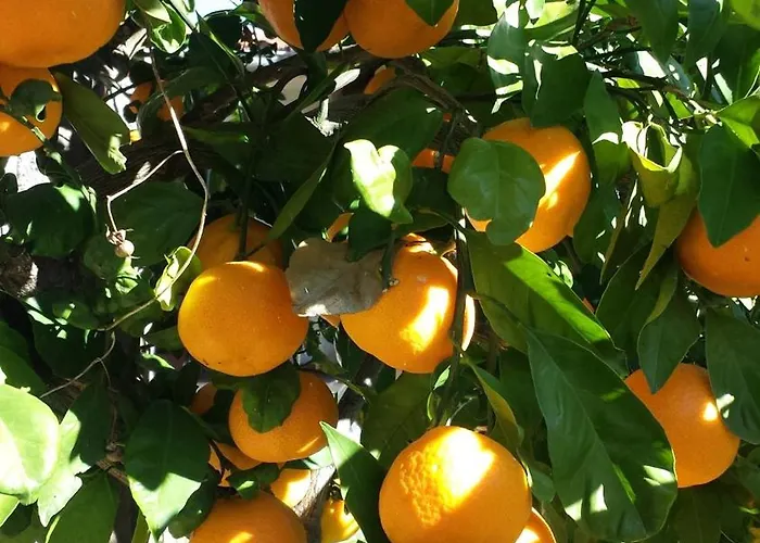 Rustico Mediterraneo With Large Terrace By Mihaela *